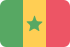 SMS-Marketing  Senegal