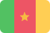 SMS-Marketing  Kamerun